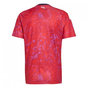 Camisolas Costa Rica 1º Equipamento Principal World Cup 2026 Manga Curta
