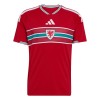 Camisolas País de Gales 1º Equipamento Principal World Cup 2026 Manga Curta