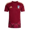 Camisolas Itália Guarda Redes 1º Equipamento Principal World Cup 2026 Vermelha Manga Curta