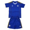Camisolas Leicester City Criança 1º Equipamento Principal 2025-26 Manga Curta