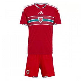Camisolas País de Gales Criança 1º Equipamento Principal World Cup 2026 Manga Curta