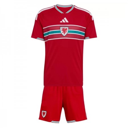 Camisolas País de Gales Criança 1º Equipamento Principal World Cup 2026 Manga Curta Camisolas País de Gales Criança 1º Equipamento Principal World Cup 2026 Manga Curta