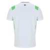 Camisolas Irlanda 2º Equipamento Alternativa 2026-27 Manga Curta