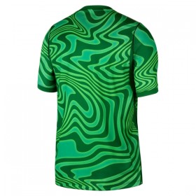 Camisolas Brasil Guarda Redes 1º Equipamento Principal World Cup 2026 Verde Manga Curta