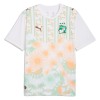 Camisolas Costa do Marfim 2º Equipamento Alternativa World Cup 2026 Manga Curta