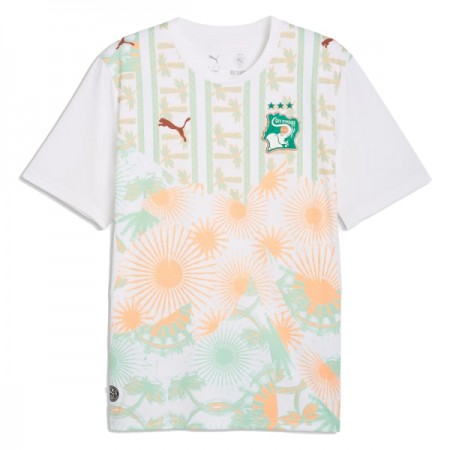 Camisolas Costa do Marfim 2º Equipamento Alternativa World Cup 2026 Manga Curta