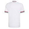 Camisolas Hungria 2º Equipamento Alternativa World Cup 2026 Manga Curta