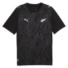 Camisolas Nova Zelândia 2º Equipamento Alternativa World Cup 2026 Manga Curta