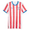 Camisolas Paraguay 1º Equipamento Principal World Cup 2026 Manga Curta