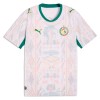 Camisolas Senegal 1º Equipamento Principal World Cup 2026 Manga Curta