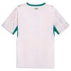 Camisolas Senegal 1º Equipamento Principal World Cup 2026 Manga Curta