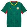 Camisolas Senegal 2º Equipamento Alternativa World Cup 2026 Manga Curta