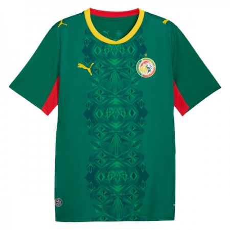 Camisolas Senegal 2º Equipamento Alternativa World Cup 2026 Manga Curta