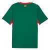 Camisolas Senegal 2º Equipamento Alternativa World Cup 2026 Manga Curta