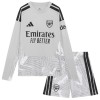 Camisolas Arsenal Guarda Redes Criança 1º Equipamento Principal 2026-27 Manga Comprida Camisolas Arsenal Guarda Redes Criança 1º Equipamento Principal 2026-27 Manga Comprida
