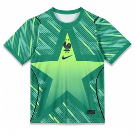 Camisolas França Guarda Redes 3º Equipamento World Cup 2026 Manga Curta