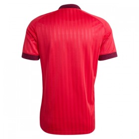 Camisolas Olympique Lyonnais 2º Equipamento Alternativa 2026-27 Manga Curta