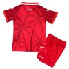 Camisolas Haiti Criança 3º Equipamento World Cup 2026 Manga Curta