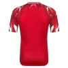 Camisolas Tunísia 2º Equipamento Alternativa World Cup 2026 Manga Curta