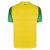 Camisolas FC Nantes 1º Equipamento Principal 2026-27 Manga Curta