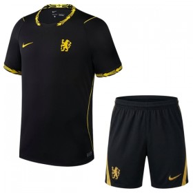 Camisolas Chelsea Criança 2º Equipamento Alternativa 2026-27 Manga Curta
