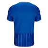 Camisolas Brighton Hove Albion 1º Equipamento Principal 2026-27 Manga Curta