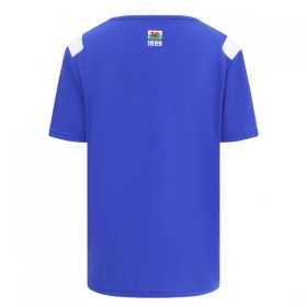 Camisolas Cardiff City 1º Equipamento Principal 2026-27 Manga Curta