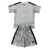 Camisolas Real Madrid Gray Version Guarda Redes Criança 2026-27 Manga Curta