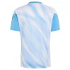Camisolas Argentina Farewell Pre-Match Anniversary 2026-27 Manga Curta