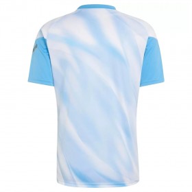 Camisolas Argentina Farewell Pre-Match Anniversary 2026-27 Manga Curta