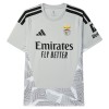 Camisolas Benfica Gray Version Guarda Redes 2026-27 Manga Curta Camisolas Benfica Gray Version Guarda Redes 2026-27 Manga Curta